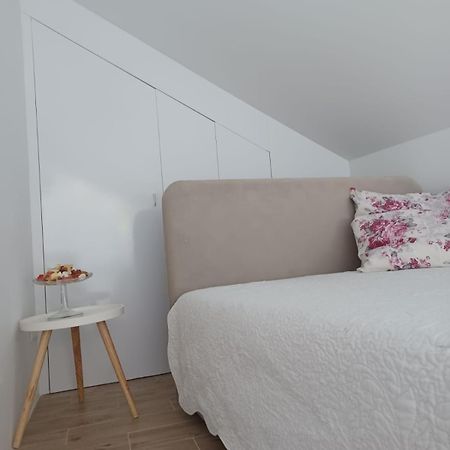 Zil - Studio Apartment City Center Zagabria Esterno foto